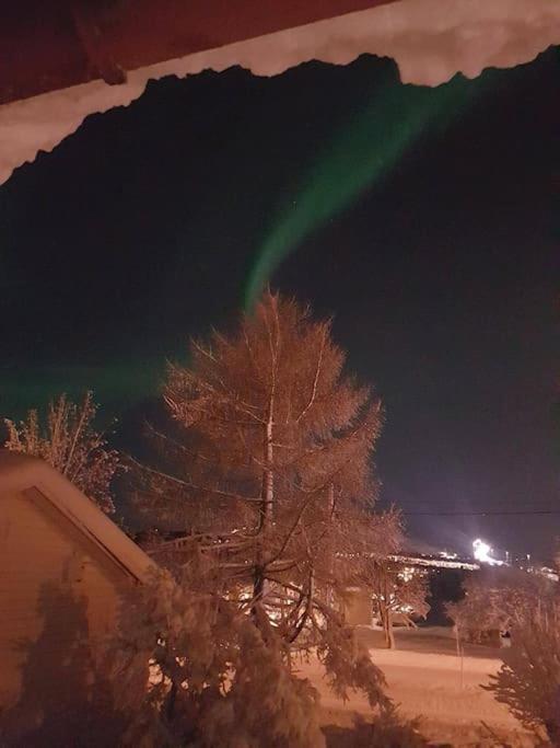 Spacious House In Tromso, Perfect For Groups Of Families, Tourists Or Workers Exterior foto